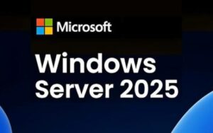Windows Server 2025服务器Hyper-V和VMware虚拟机共存和显卡直通教程